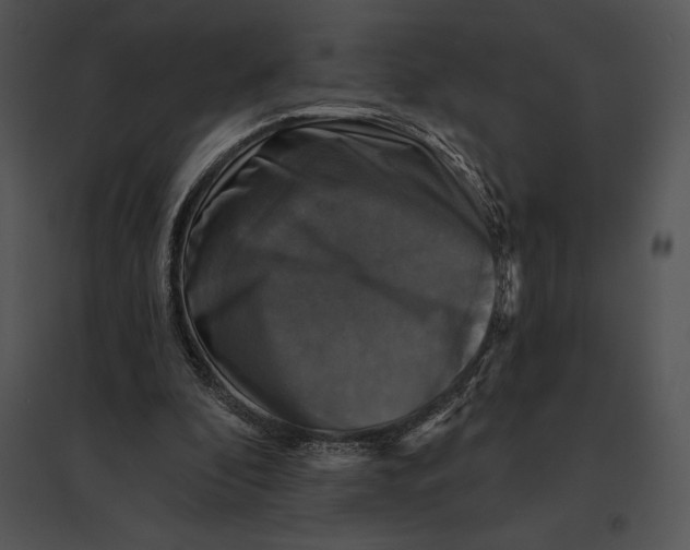 X0000095530296200801041252