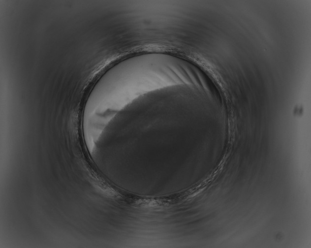 X0000095530297200801041252