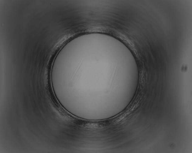 X0000095530298200801041252