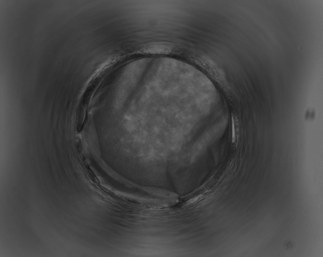 X0000095530300200801041252