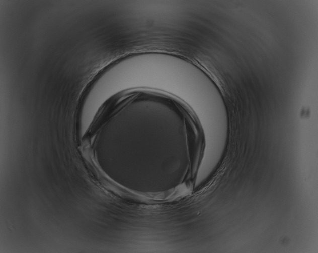 X0000095530301200801041252