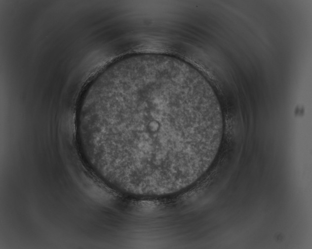 X0000095530302200801041252