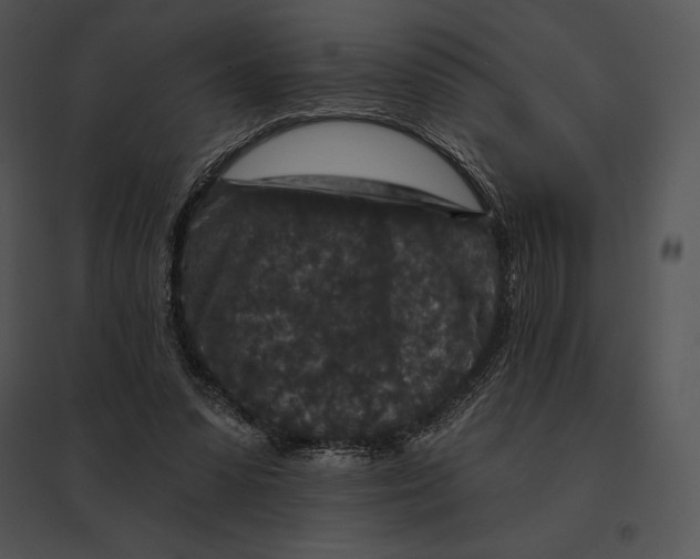 X0000095530303200801041252