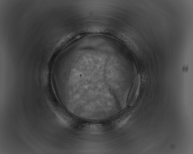 X0000095530304200801041252