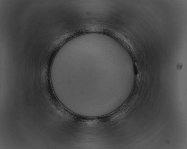 X0000095530306200801041252