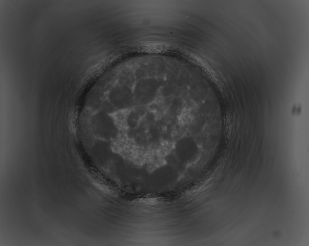 X0000095530307200801041252