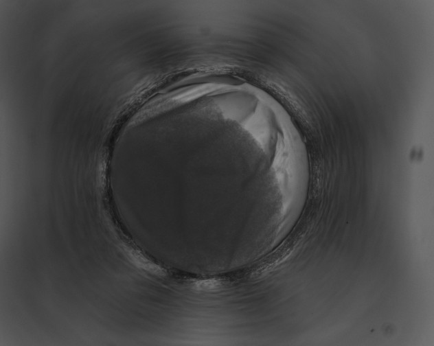 X0000095530309200801041252