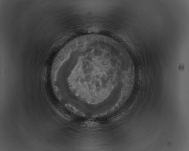 X0000095530311200801041252