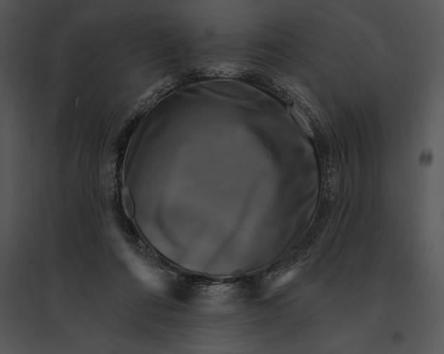 X0000095530312200801041252