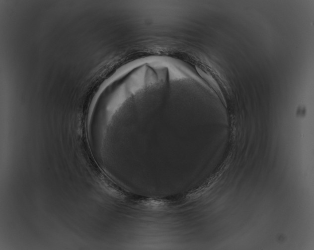 X0000095530313200801041252