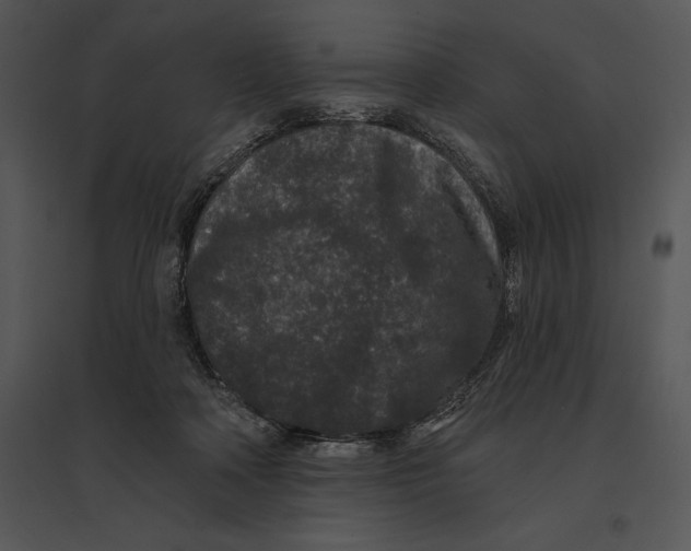 X0000095530314200801041252