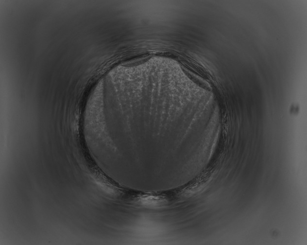 X0000095530315200801041252