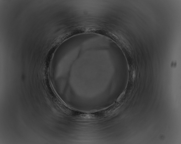 X0000095530316200801041252