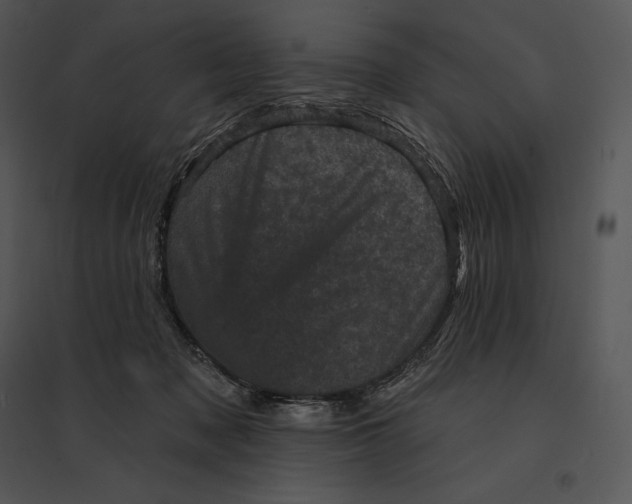 X0000095530317200801041252