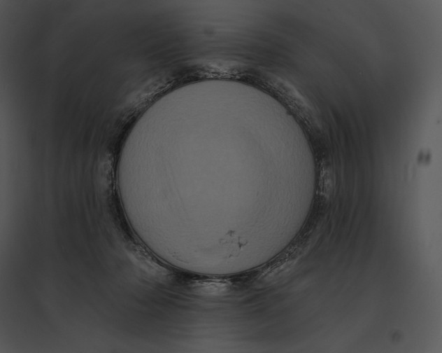 X0000095530318200801041252