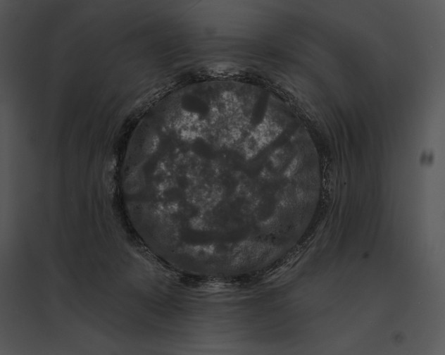 X0000095530319200801041252