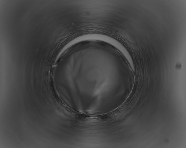 X0000095530320200801041252