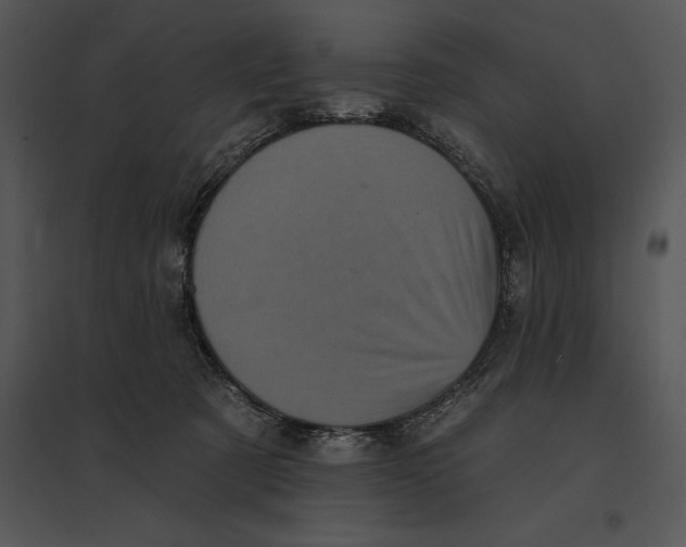 X0000095530321200801041252