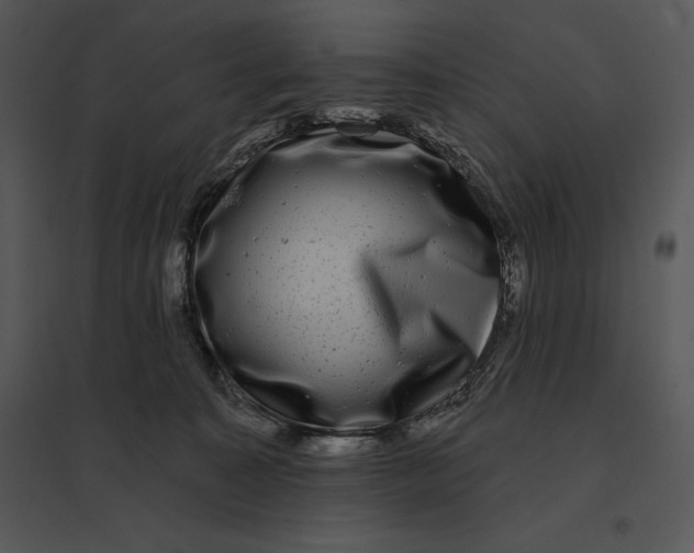 X0000095530323200801041252