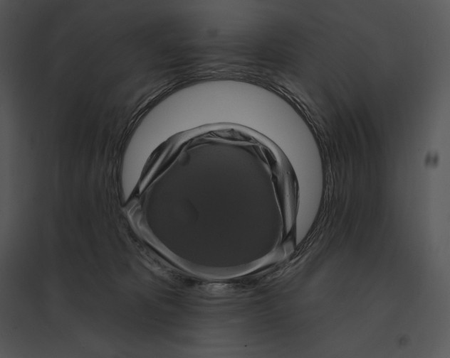 X0000095530325200801041252