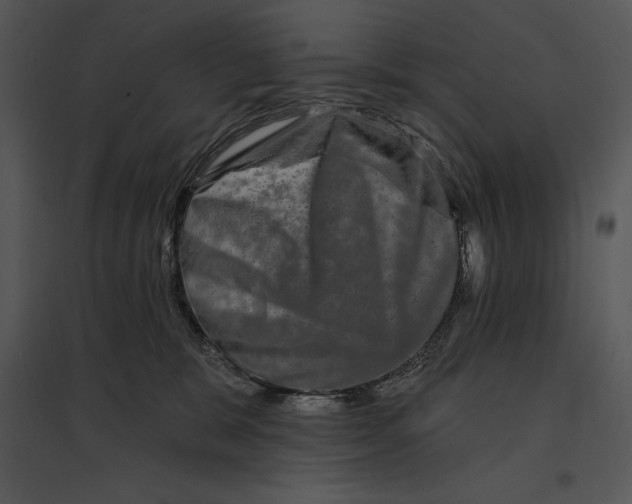 X0000095530327200801041252