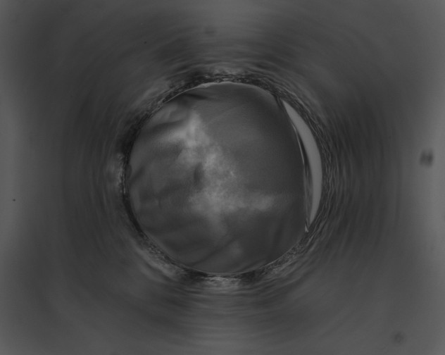 X0000095530328200801041252