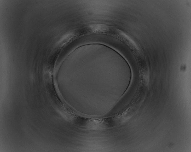 X0000095530329200801041252