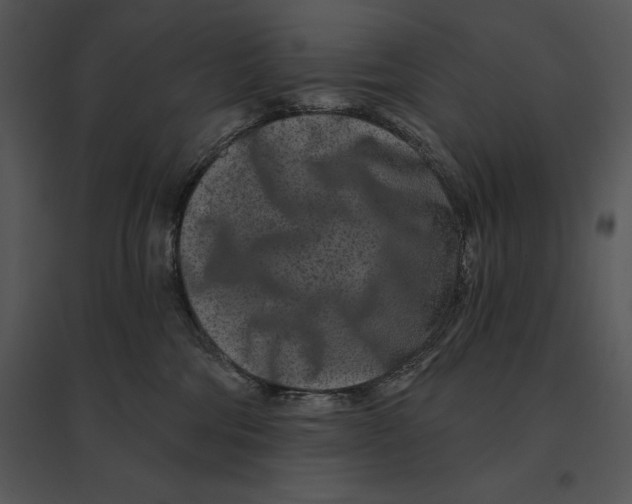 X0000095530330200801041252