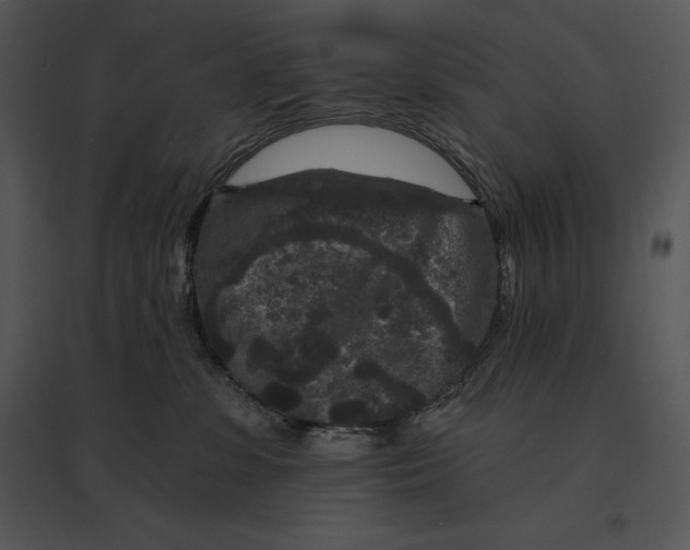 X0000095530331200801041252