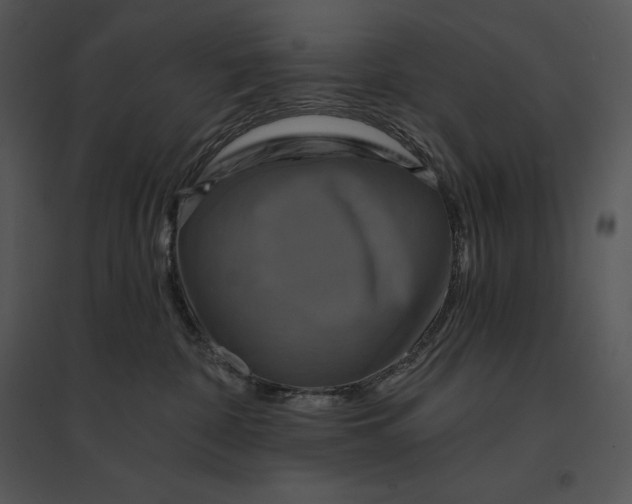 X0000095530332200801041252