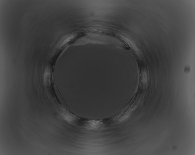 X0000095530333200801041252