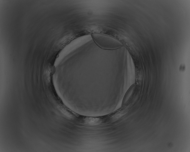 X0000095530334200801041252