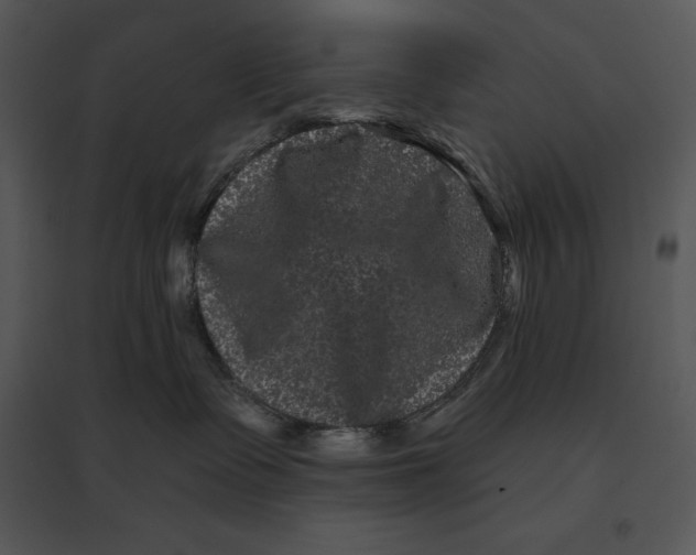 X0000095530335200801041252