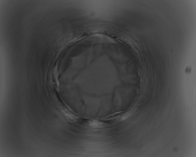 X0000095530336200801041252