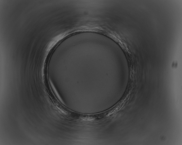 X0000095530340200801041251