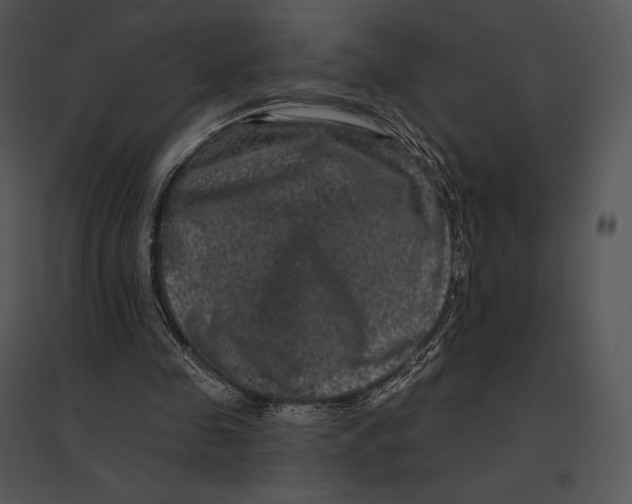 X0000095530341200801041251