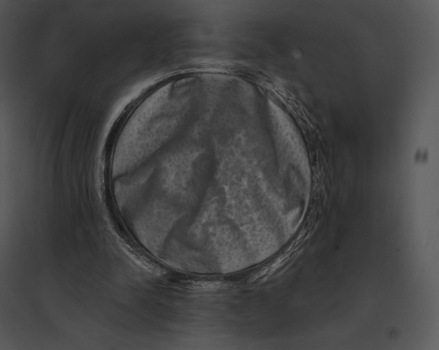 X0000095530342200801041251