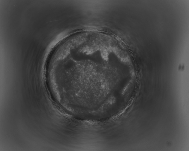 X0000095530343200801041251