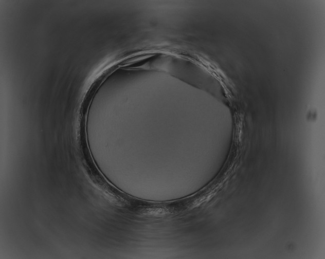 X0000095530344200801041251