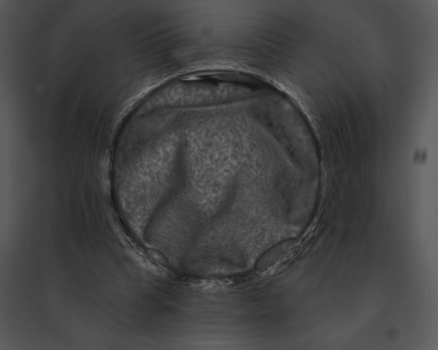 X0000095530345200801041251