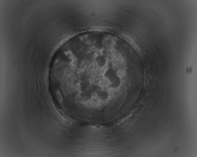 X0000095530346200801041251