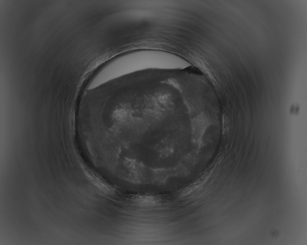 X0000095530349200801041251