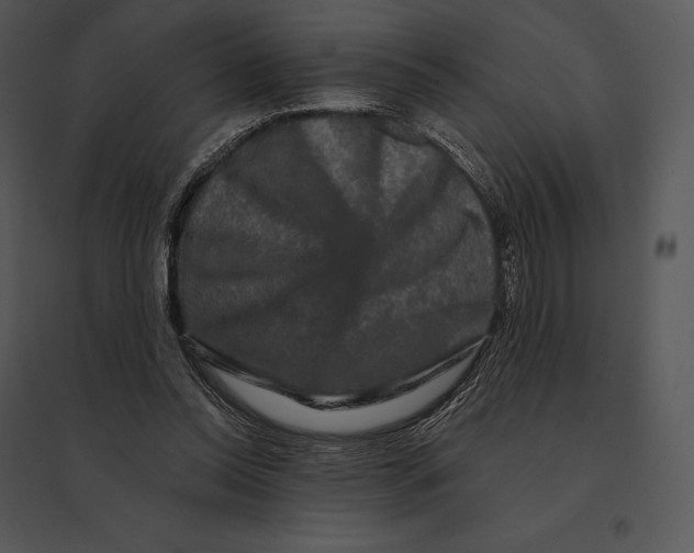 X0000095530350200801041251