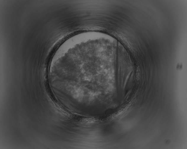 X0000095530351200801041251