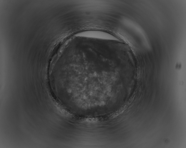 X0000095530353200801041251