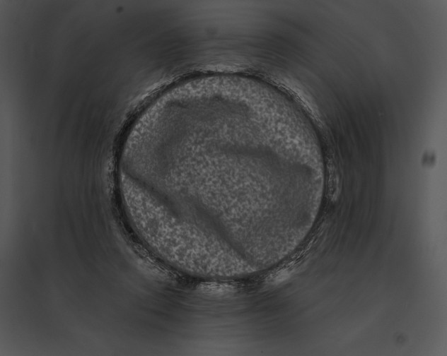 X0000095530354200801041251