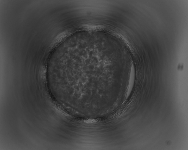 X0000095530357200801041251