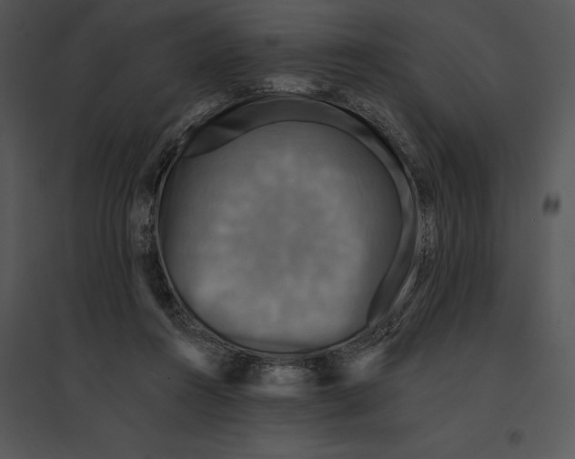 X0000095530360200801041252