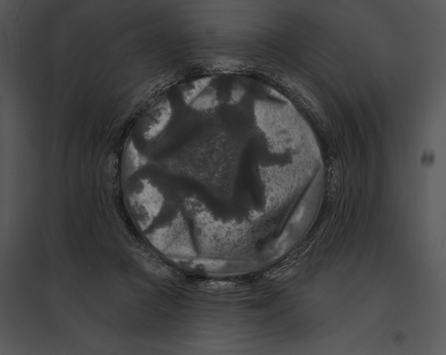 X0000095530361200801041252