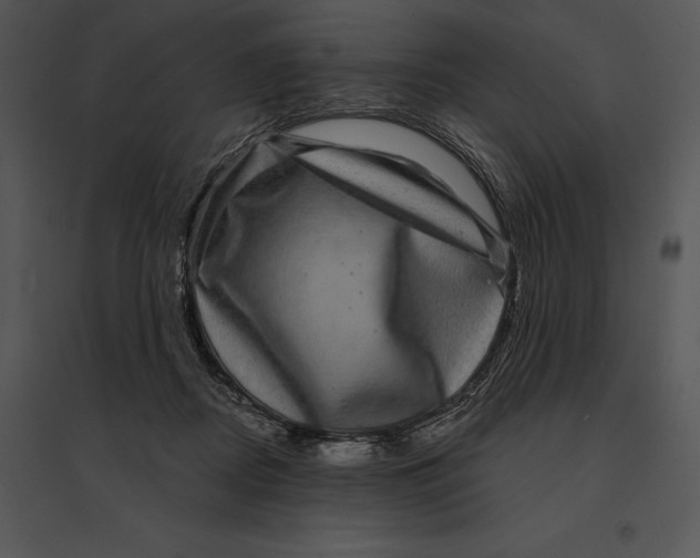 X0000095530362200801041252